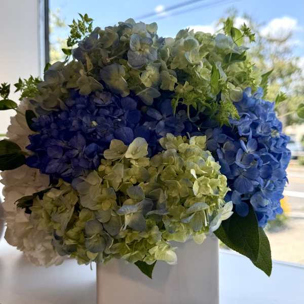 Blue and green hydrangea arrangement in a white square vase