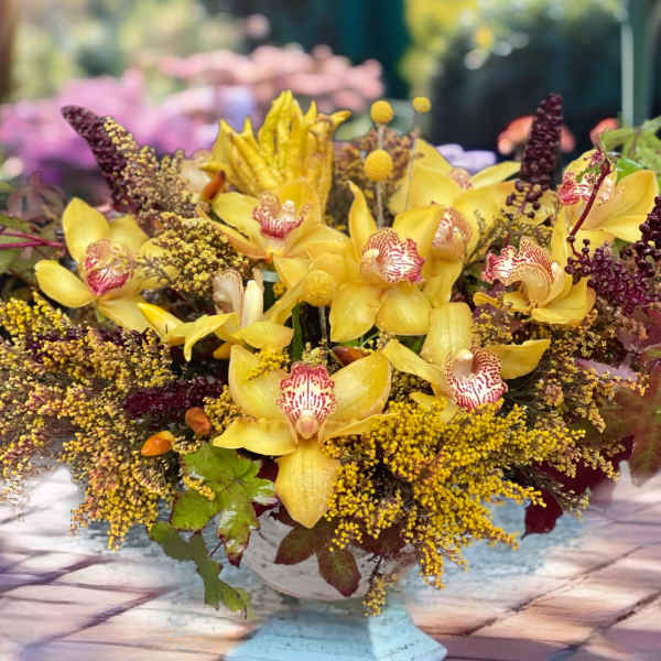 Yellow orchids arranged in a low white pedestal container