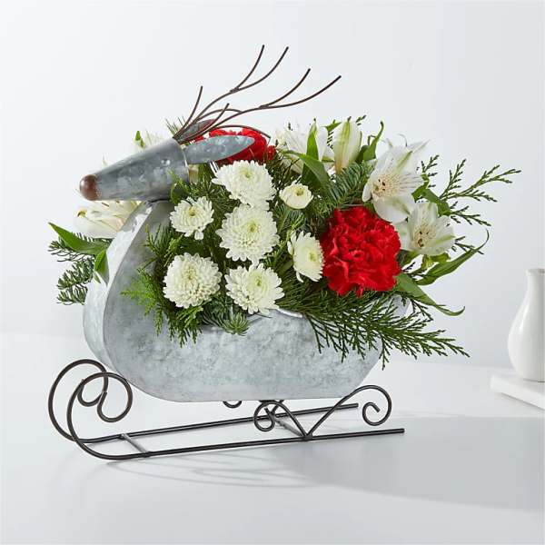 Red and white flowers arranged in a metal sleigh container