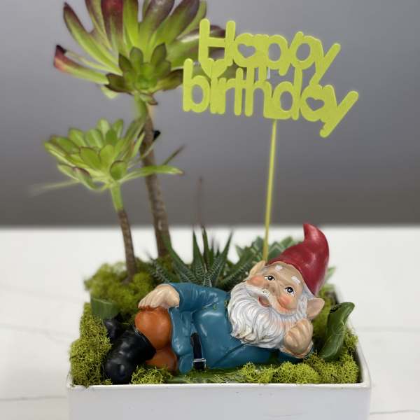 Succulent planter with a reclining gnome and a happy birthday topper