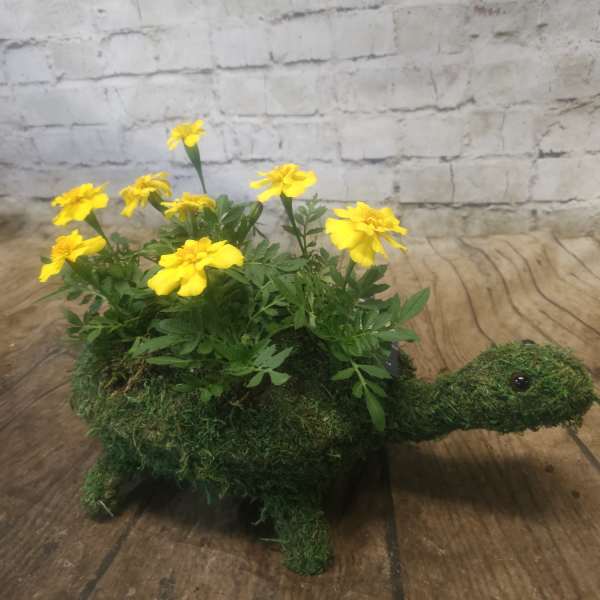 Yellow flowers arranged in a moss-covered turtle planter