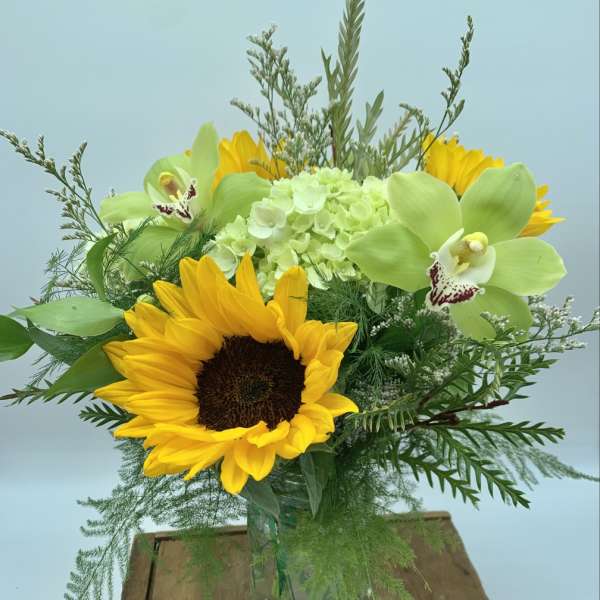 A Little Sunshine