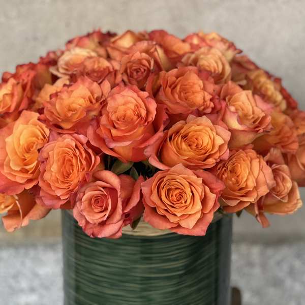 BIG ORANGE SUN