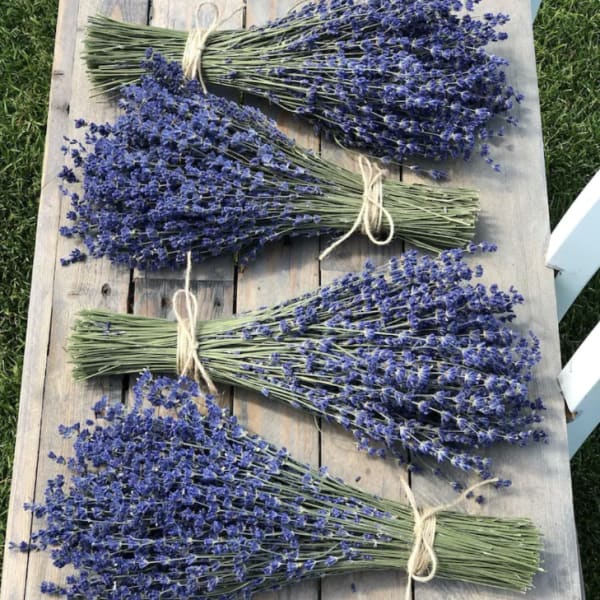 Bundles of purple lavender tied with twine on a wooden table