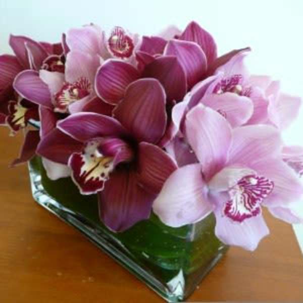 Low arrangement of pink and burgundy orchids in a clear glass vase