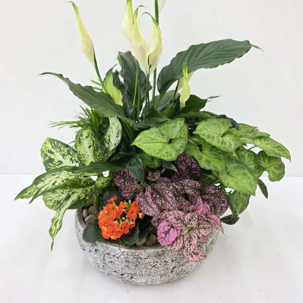 Stone Planter Dishgarden