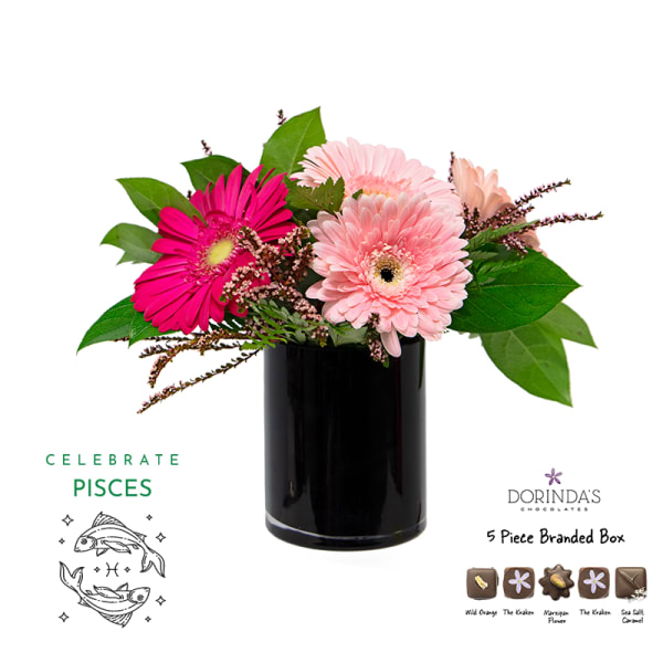 Pink gerbera daisies in a black vase with a chocolate gift box and Pisces graphic