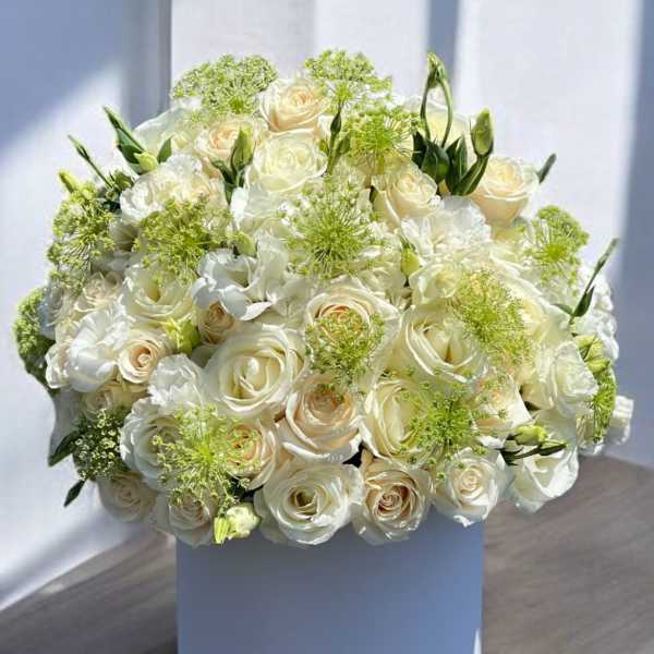 Full Moon