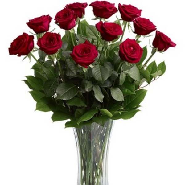 Red roses arranged in a clear glass vase