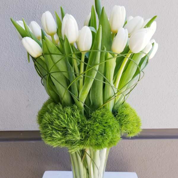 White tulips arranged in a clear vase with bright green pom-pom accents