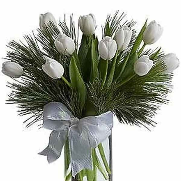 Tulips and Pine