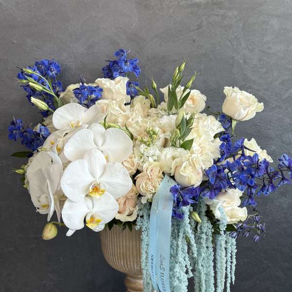 Areg