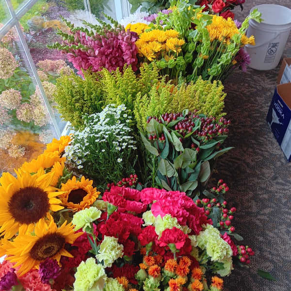 Assorted bunches of cut flowers laid out on the floor