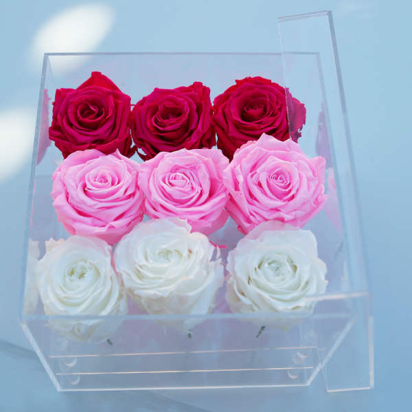 Nine roses arranged in a clear acrylic box