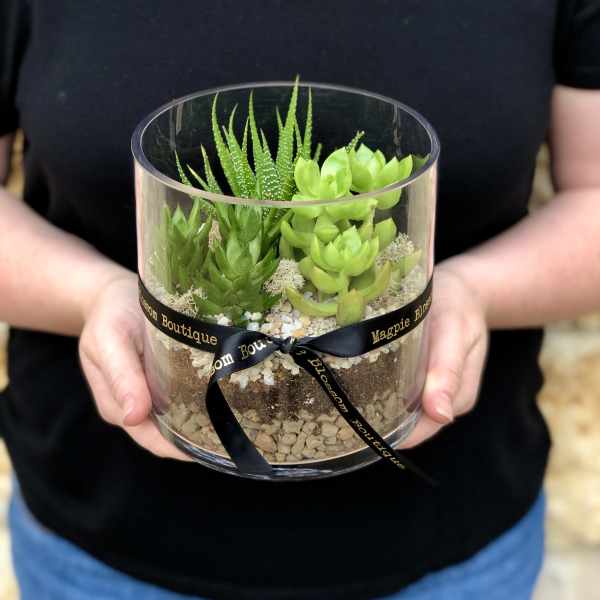 6" Succulent Terrarium