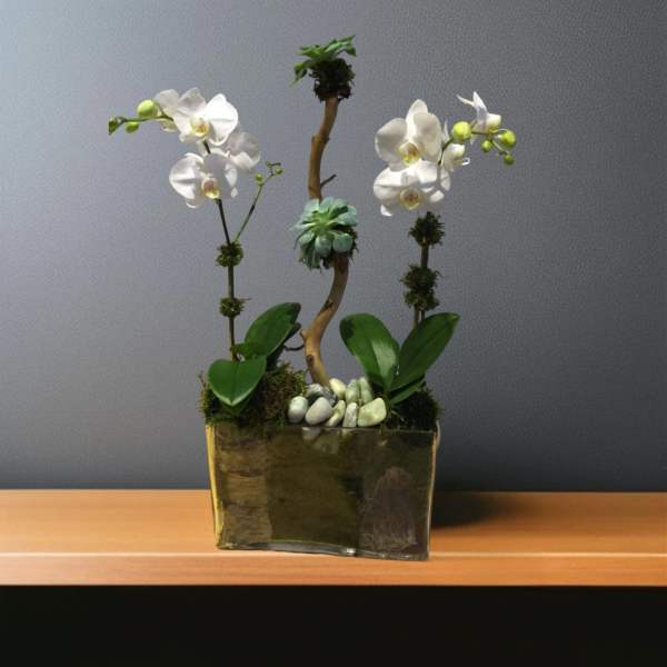 Orchid and succulent arrangement in a rectangular vase with decorative stones