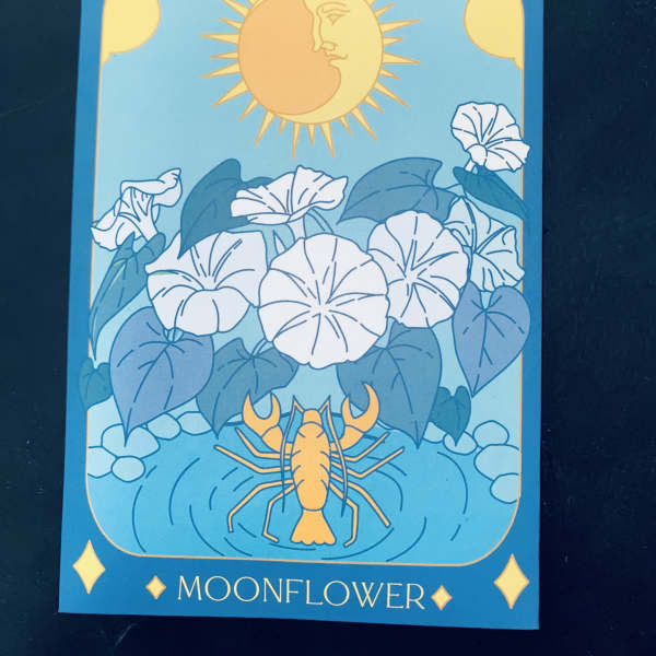 Illustrated moonflower card with white blooms and a sun and lobster motif