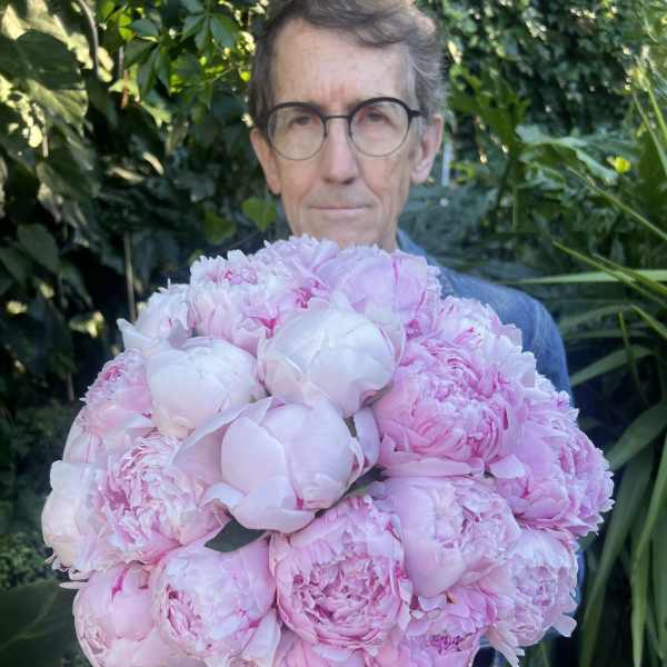 Pink Peonies