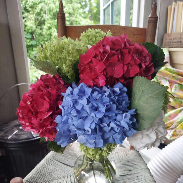 Bouquet of colorful hydrangeas in a clear glass vase