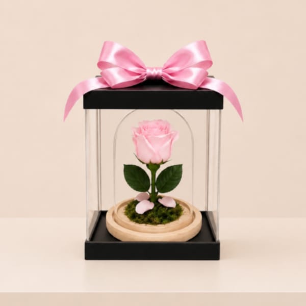 Forever Preserved Rose – Soft Pink (Height: 6.69 ")