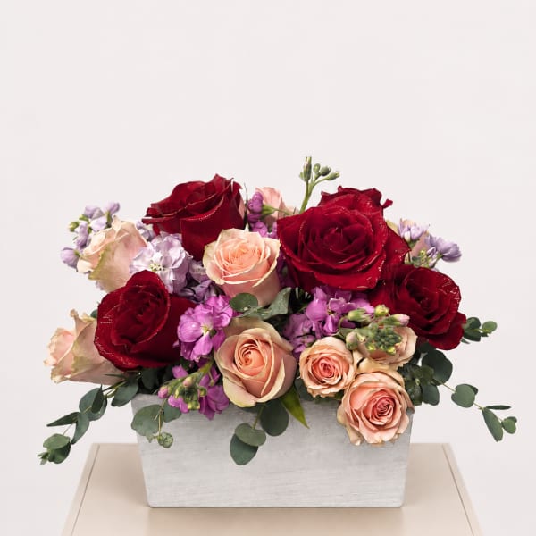 Red and blush roses with purple blooms in a white rectangular vase