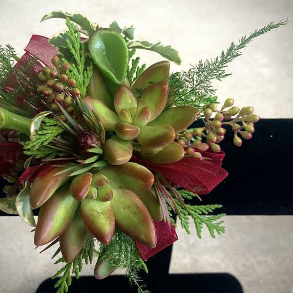Succulent Wrist Corsage