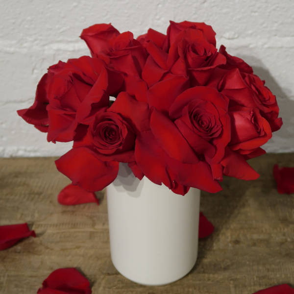 Red roses arranged in a white cylindrical vase