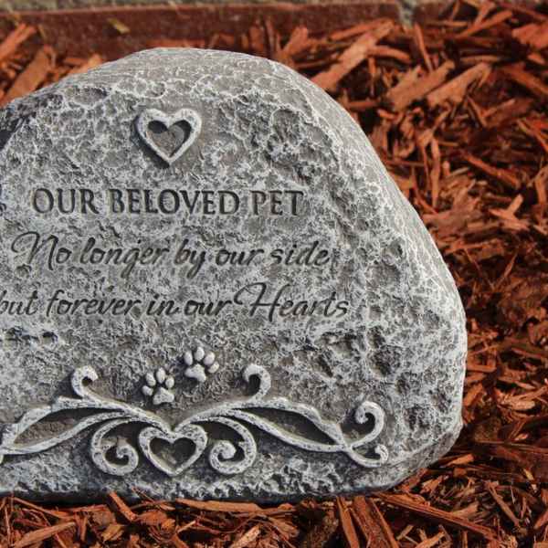 Memorial stone engraved for a beloved pet in mulch