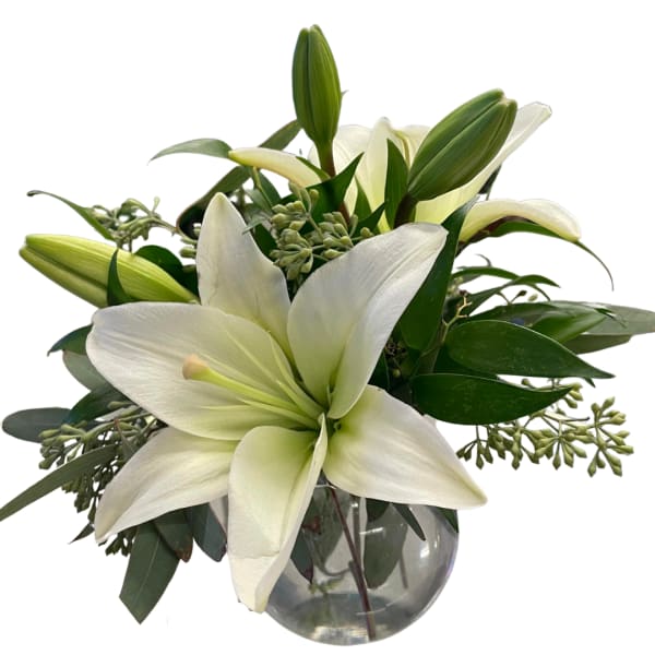 White lilies in a clear glass vase with dark greenery