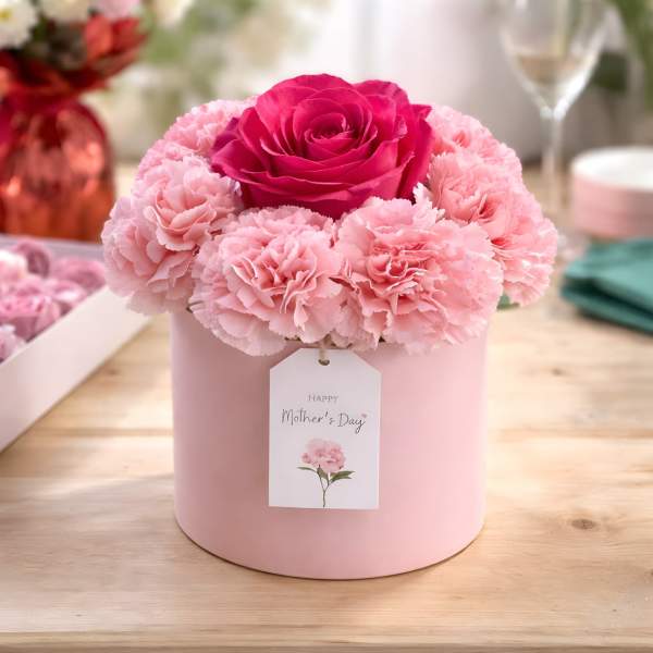 Mini Beauty In Pink