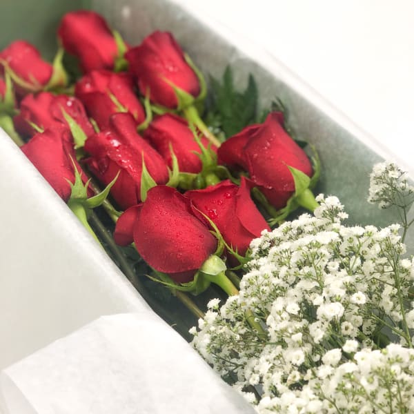 Red roses with white baby's breath in a wrapped bouquet