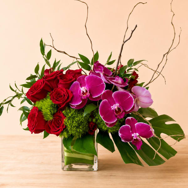 Love Sensation