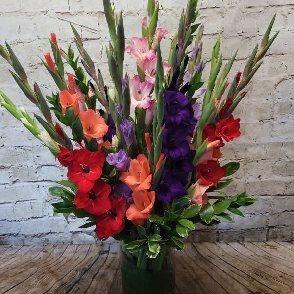 Glorious Gladiolus