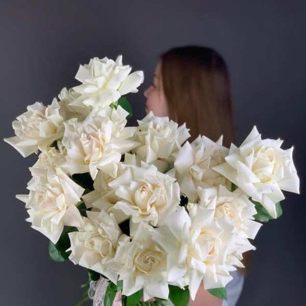 Ivory promise