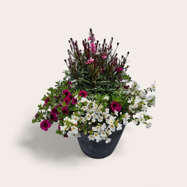 Perfect patio pot