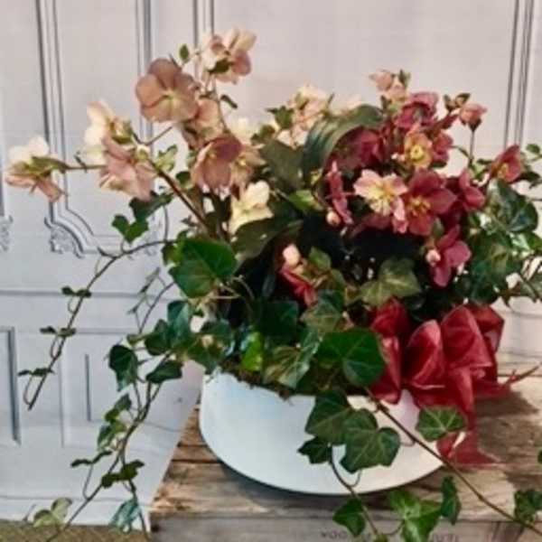 Pink and red flowers arranged in a white bowl with trailing ivy