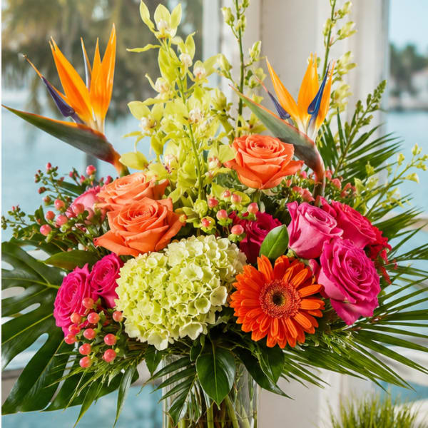 Bradenton Burst of Color