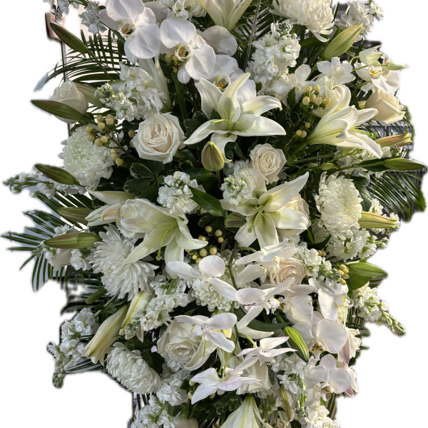 Eternal White
