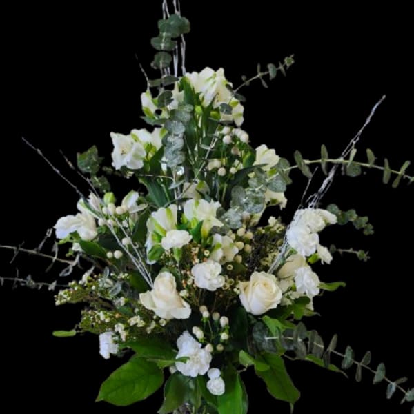 Airy Medow