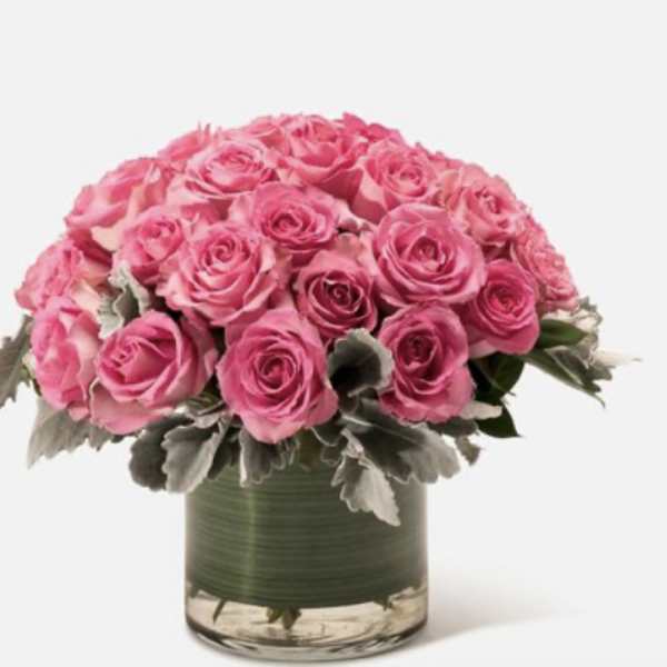 Pink roses arranged in a clear glass vase with silvery foliage