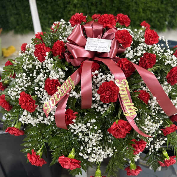 Red carnations and baby's breath arranged with a pink ribbon bow