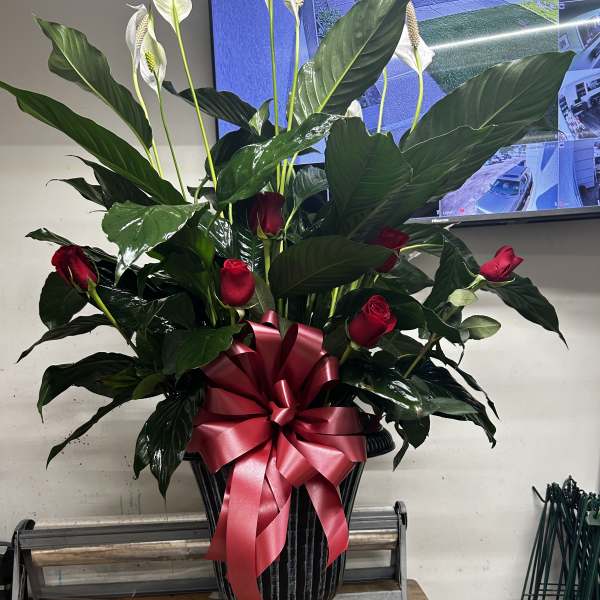 Tall arrangement of red roses and white peace lilies in a black urn with a pink bow