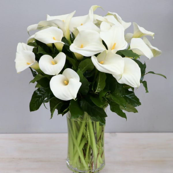 White calla lilies in a clear glass vase
