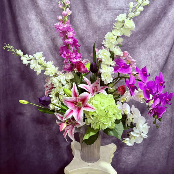 Vibrant orchids in blooms