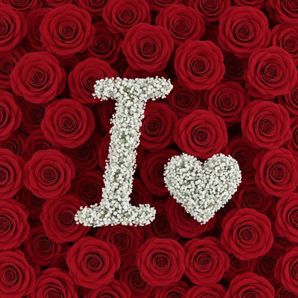 Baby's Breath Letter - I