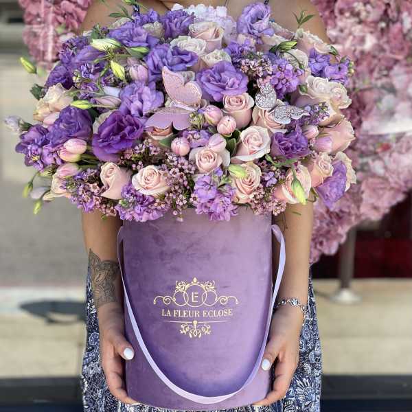 Butterfly cove V