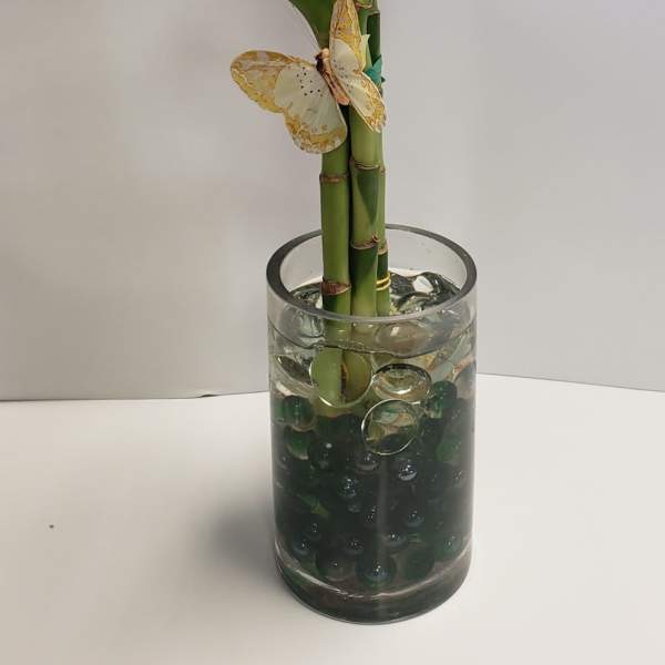 Heart-shaped lucky bamboo in a glass vase with decorative stones