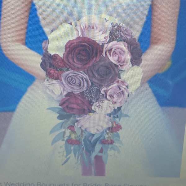 Bride holding a cascading bouquet of roses in burgundy, blush, and white