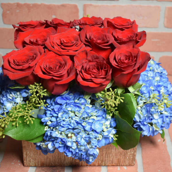 Fantastic!!!
