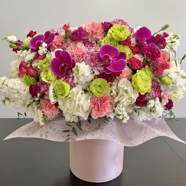 Orchid Mirage